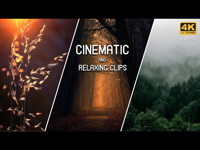 Relaxing cinematic Video || Use Headphones For Better Experience || Feel The Inner Peace 🌹