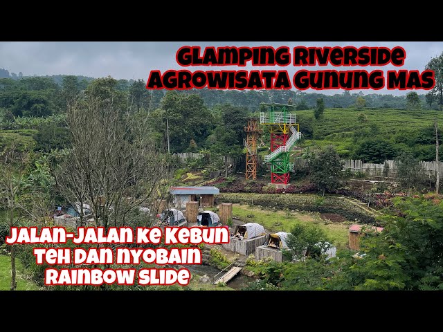 Glamping Riverside Di Agrowisata Gunung Mas..Wisata Kebun teh Dan Nyobain Rainbow Slide