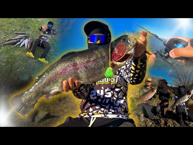 Snagging MONSTER Trophy Rainbow Trout! I Lost a HUGE One! | Bay Area