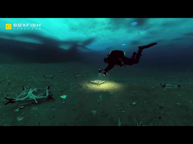 Boxfish 360 | Up to 5K spherical video | Underwater 360 VR/AR camera for film, science and adventure