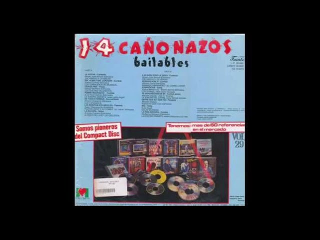 14 Cañonazos Bailables Volumen 29 LP Completo Discos Fuentes Edicion Ecuatoriana 1989