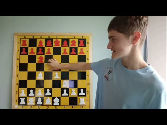 The Power of the Bishop in Chess!