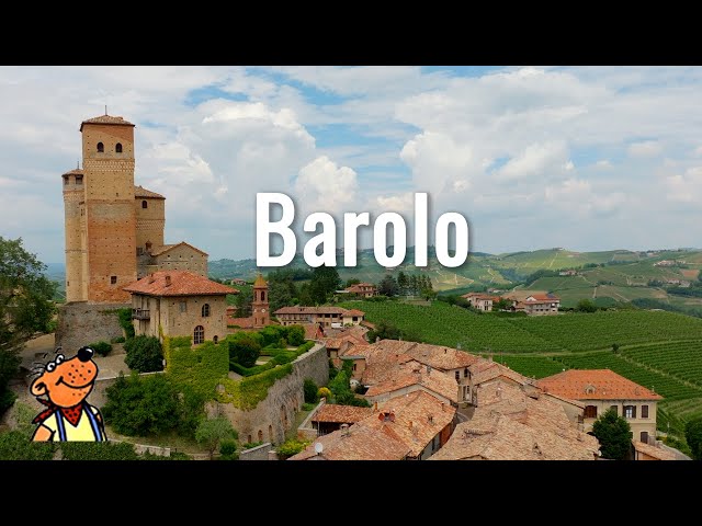 Soaring over Barolo ･ The masterpiece among wine areas 🇮🇹