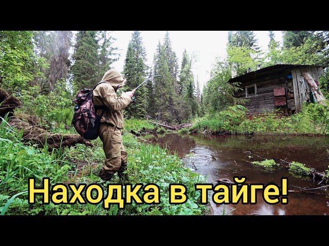 ВОТ ЭТО НАХОДКА!!! РЫБАЛКА В ТАЙГЕ СДЕЛАЛА НАС БОГАТЫМИ!