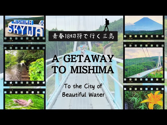 Nature Escape in Mishima: Riverside stroll and Skywalk adventure.🗻【JAPAN TRAVEL VLOG】