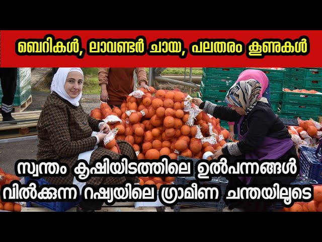 റഷ്യയിലെ ഗ്രാമീണ മാർക്കറ്റ്| village market in Russia| Kazan| Tatarstan|Russia@JourneyistGlobal