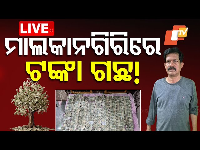 🔴Live | Malkangiriରେ ଲାଗିଛି ଟଙ୍କା ଗଛ! | Odisha Vigilance | Vigilance Raid |  | Koraput | OTV