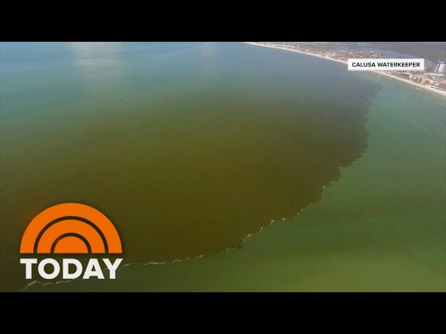 What is a red tide and what are the effects on your health?