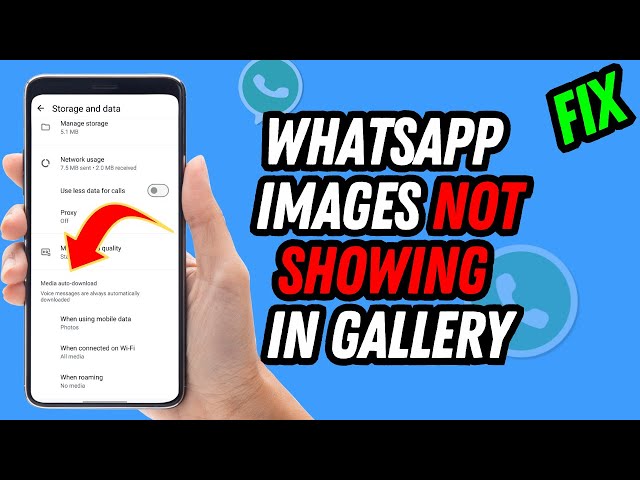 WhatsApp Images Not Showing In Gallery [EASY FIX]