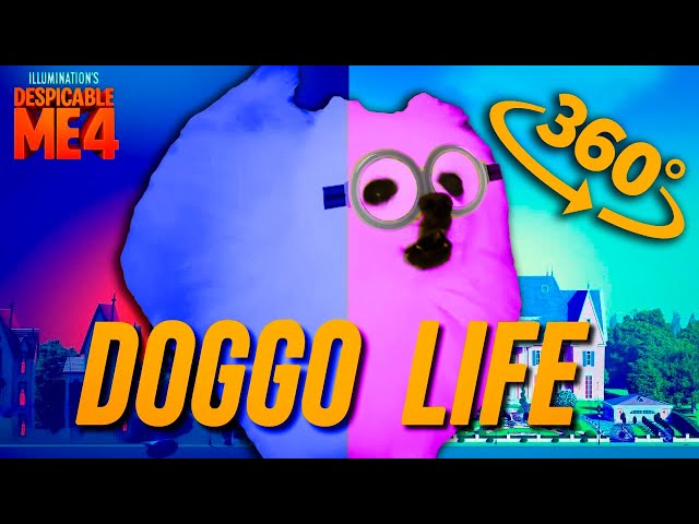 360° VR DOGGO LIFE - Despicable Me 4 "Double Life"