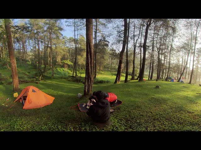 Breakfast in Pine Forest, Song Bird, sunrise, Camping Ground Pasir Sumbul Parabon Pojok - 360 video