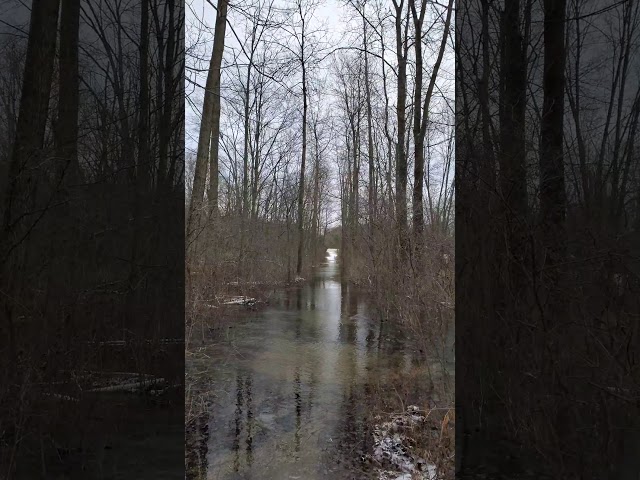 Nice flooded trail run!