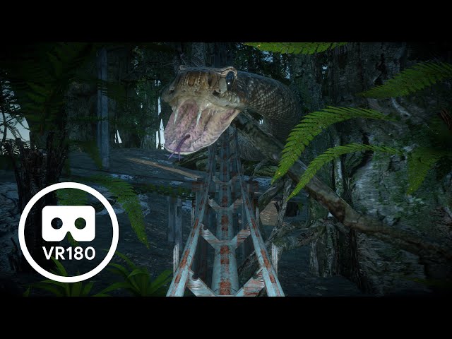 4K 60P VR180  Jungle Roller Coaster Rides Challenge VR sickness videos