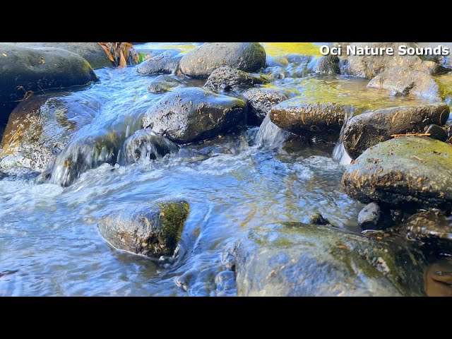 Peaceful Sounds, Trickling Water Sounds, Nature Sounds For Relax And Healing