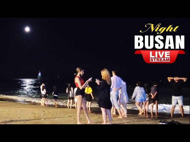 Live Korea Busan 🇰🇷 Walk Tour Korea 🤩 Busan Haeundae Beach Street Walking Tour | Korean Food Street