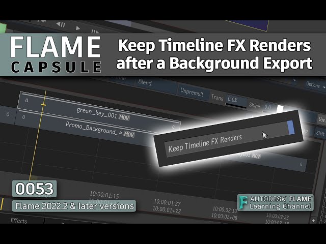 Flame Capsule 053 - Keep TLFX Renders after a Background Export - Flame 2022.2