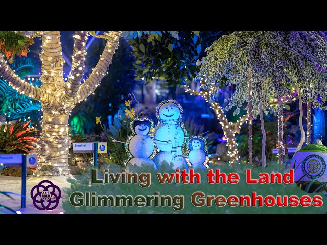 8K Living with the Land – Glimmering Greenhouses at Epcot in VR180 3D