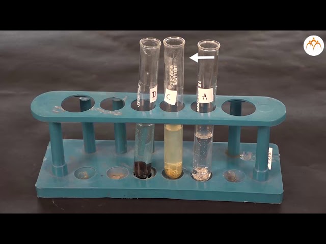 To study the reactions of the metals Zn, Fe, Cu ,and Al with solution of salts