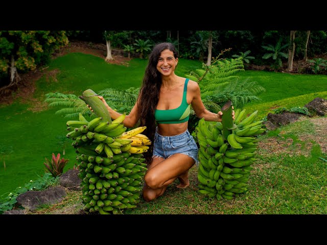 Life & Garden Update! 🌱 680 Organic Fruit Trees Planted in Hawaii! FullyRaw Vegan Lifestyle 🥭