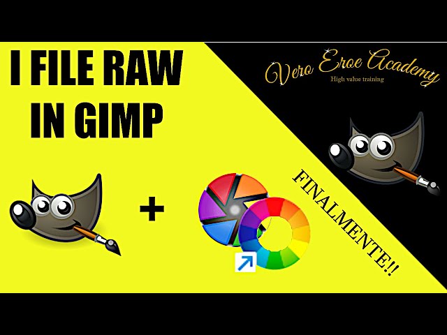 GIMP AND RAW FILES - HOW TO PROCESS RAW WITH GIMP