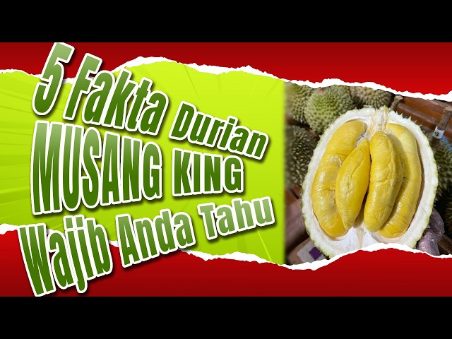 Durian Musang King