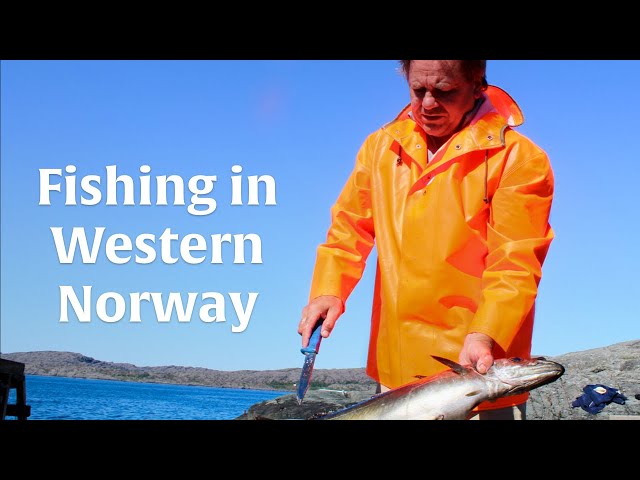 Prepare a fillet the local Norwegian way | Sognefjord, Norway