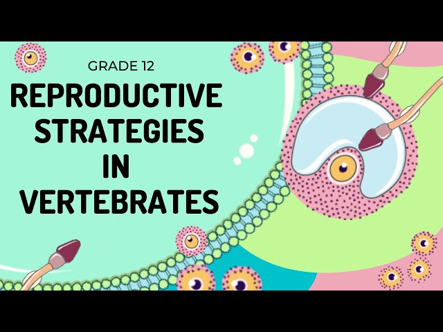 REPRODUCTION | Fertilisation and development strategies