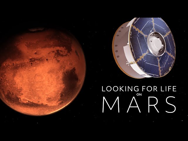 Looking for Life on Mars | Full Documentary I NOVA | PBS