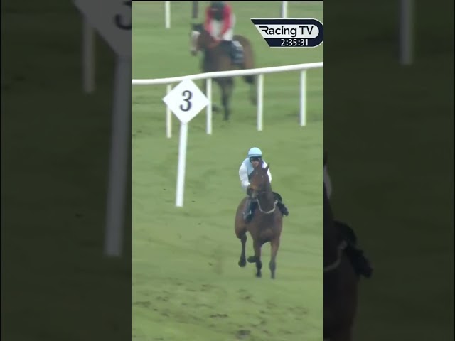 Horse jumps wrong obstacle 😂