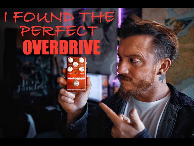 I Found The PERFECT Overdrive | JDM PEDALS RED ROASTER.