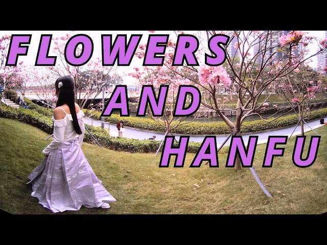 VR180 3D｜CHINA TRAVEL｜SHENZHEN｜ Hanfu｜Handroanthus ｜Strolling through the sea of ​​flowers｜汉服｜紫花风铃木