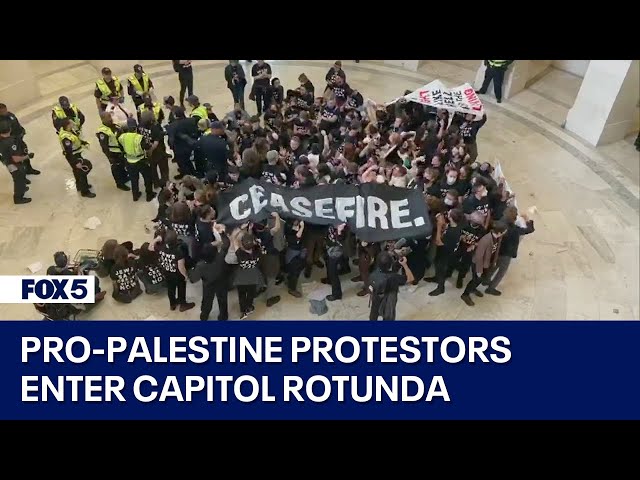 Pro-Palestine protestors arrested after entering Capitol Rotunda