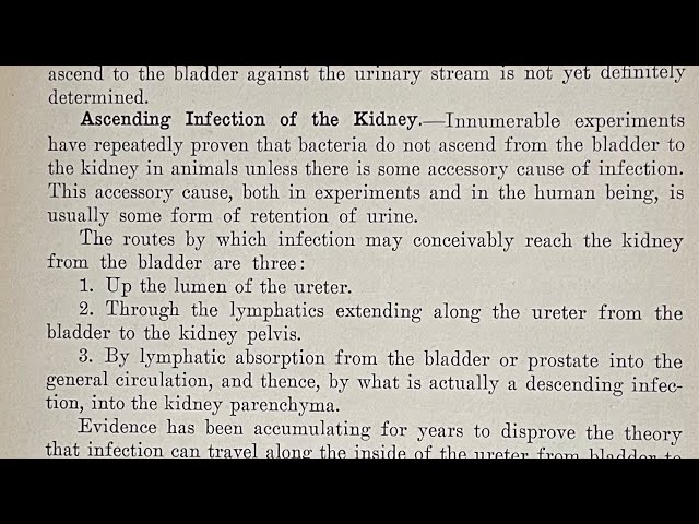 Chapter 33 (5): Routes of Invasion: Ascending Infection of the Kidney