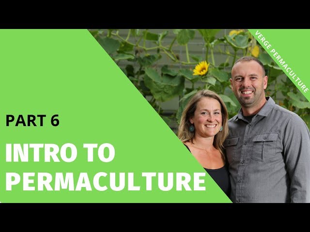 Introduction to Permaculture Part 6: Gardening & Rainwater harvesting