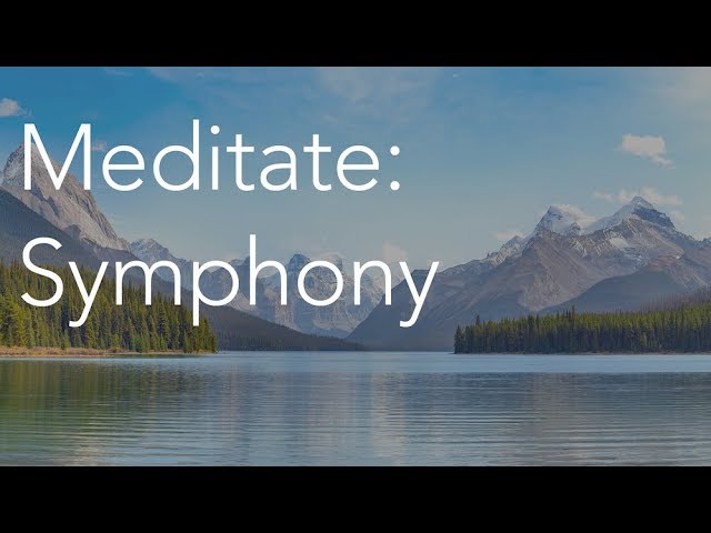 Daily Calm | 10 Minute Mindfulness Meditation | Symphony