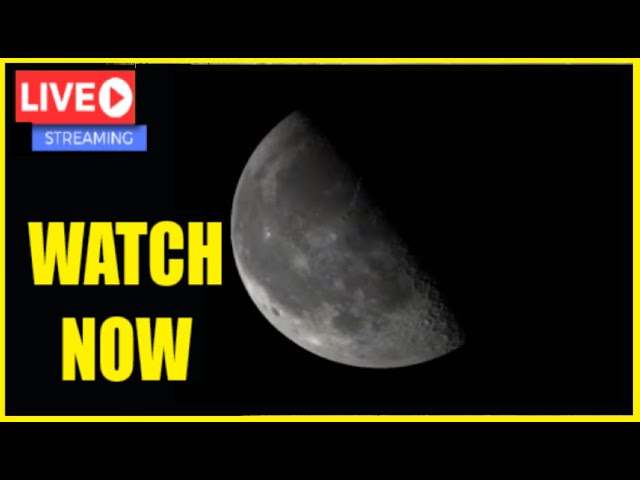 LIVE Moon INSANE Telescope Watching - Backyard Astronomy from the US 1/24/2025