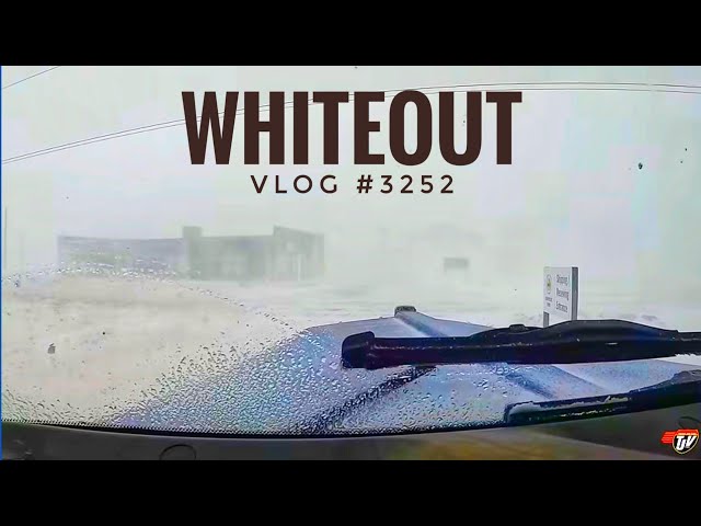 WHITEOUT | My Trucking Life | Vlog #3252