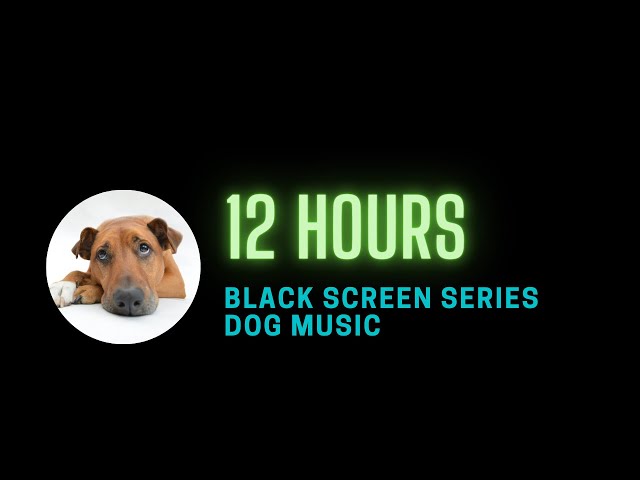 12 hour dog calming music to sleep and calm anxiety - black screen - with sounds for dogs