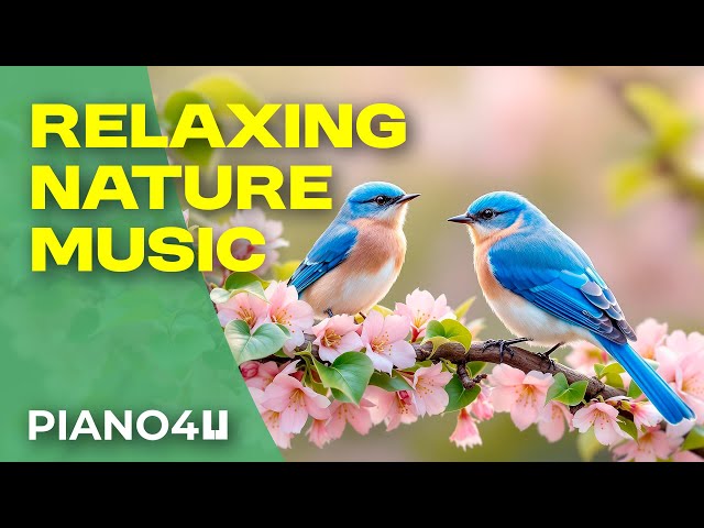 🌿 Relaxing Music for Stress Relief | 8 Hours of Calm & Peaceful Vibes 🌙