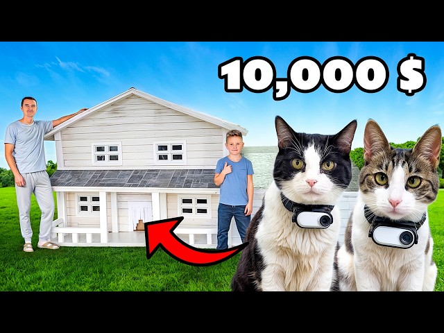 WE BUILT A $10,000 DREAM CAT HOUSE!