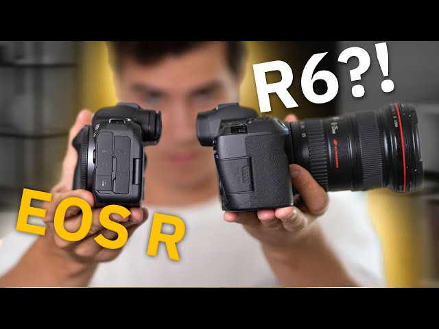 The Canon R6 vs. Canon EOS R