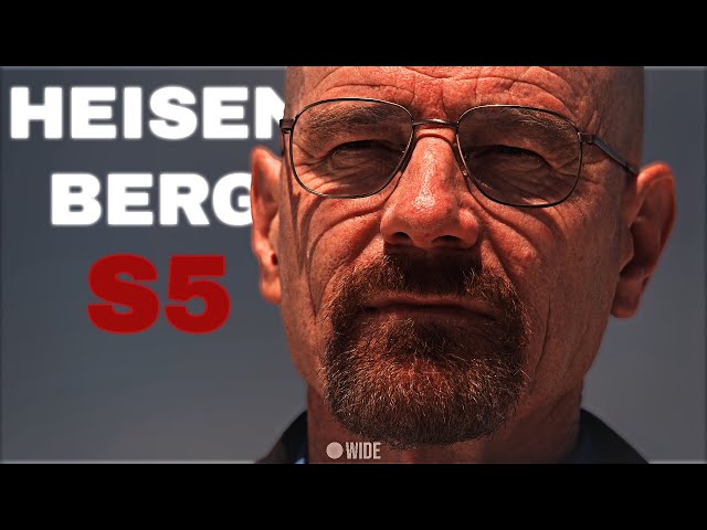 Walter White S5