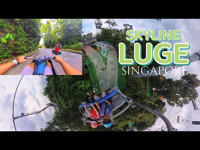 INSANE Skyline Luge Ride! (Sentosa, Singapore)