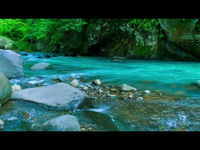 Relaxing Nature Sounds Nature Water Sounds Asmr River Sounds for Sleeping for Meditation for Heali