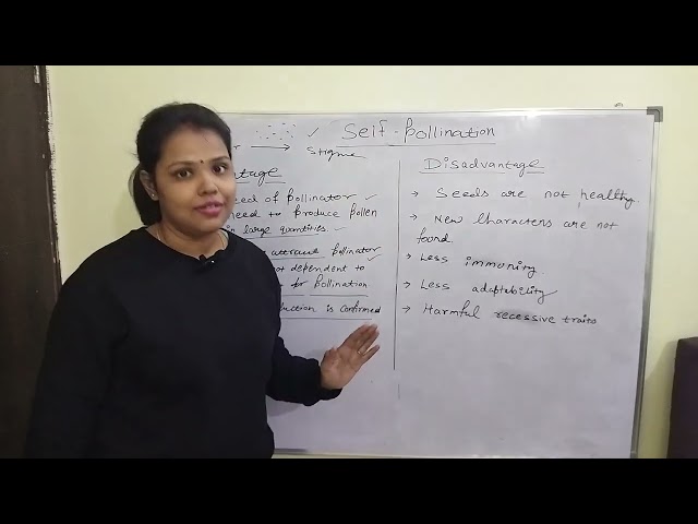 Self-pollination part 2 l advantages & disadvantages of self-pollination l