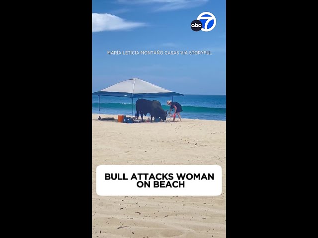 Bull attacks person on Mexican beach as onlookers scream