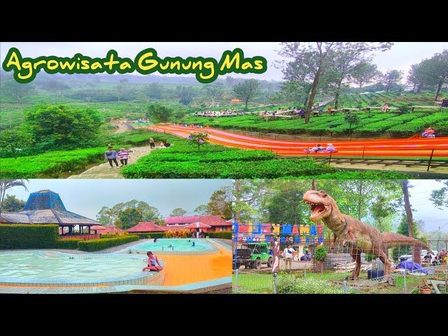 Review Terbaru Agrowisata Gunung Mas.. Ada Rainbow Slide Viral !! Cocok Buat Piknik Bersama Keluarga