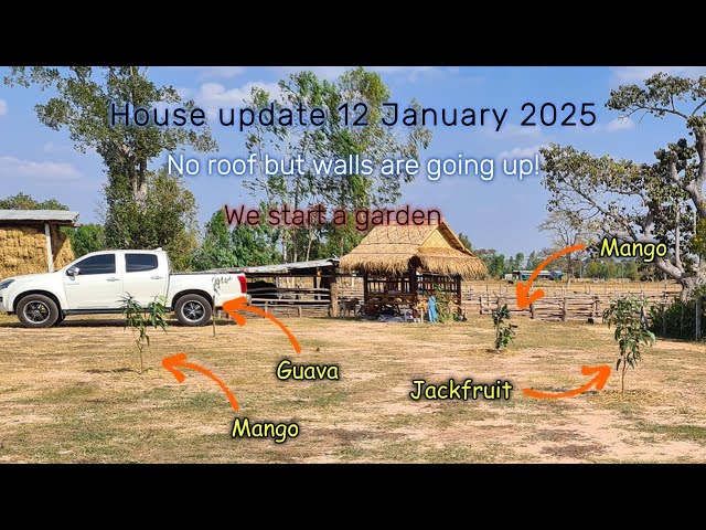 House update 11 January 2025