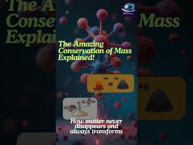 The Amazing Conservation Of Mass Explained! #science #factshorts