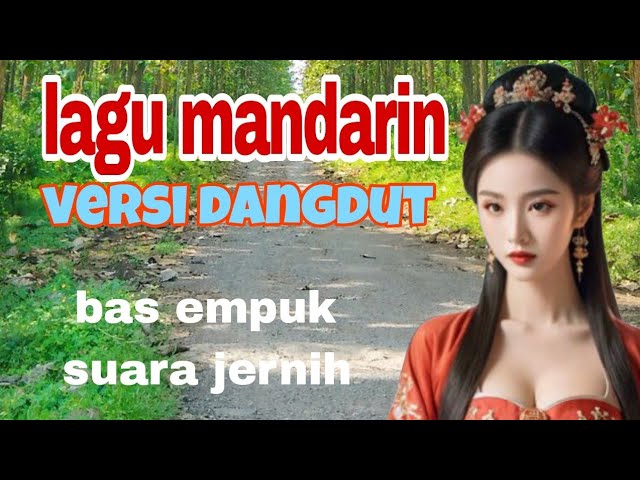 lagu mandarin versi dangdut paling mantap didengar